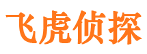 将乐飞虎私家侦探公司